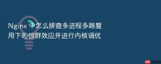 nginx 中怎么排查多进程多路复用下的惊群效应并进行内核调优