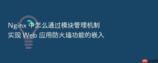 nginx 中怎么通过模块管理机制实现 web 应用防火墙功能的嵌入