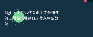 Nginx 中怎么排查由于文件描述符上限偏低导致日志写入中断故障
