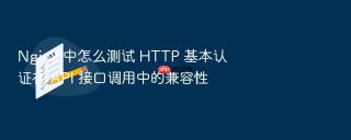 Nginx 中怎么测试 HTTP 基本认证在 API 接口调用中的兼容性