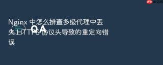 Nginx 中怎么排查多级代理中丢失 HTTPS 协议头导致的重定向错误