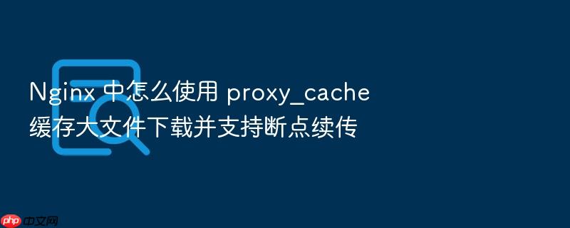 nginx 中怎么使用 proxy_cache 缓存大文件下载并支持断点续传