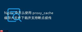 nginx 中怎么使用 proxy_cache 缓存大文件下载并支持断点续传