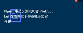 nginx 中怎么测试加密 websocket 在高并发下的吞吐与加密开销