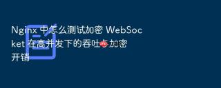 Nginx 中怎么测试加密 WebSocket 在高并发下的吞吐与加密开销