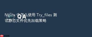 nginx 中怎么使用 try_files 测试静态文件优先加载策略