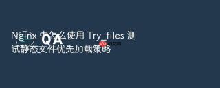 Nginx 中怎么使用 Try_files 测试静态文件优先加载策略