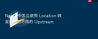 nginx 中怎么使用 location 转发请求到不同的 upstream
