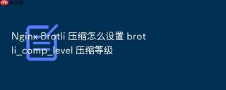 Nginx Brotli 压缩怎么设置 brotli_comp_level 压缩等级