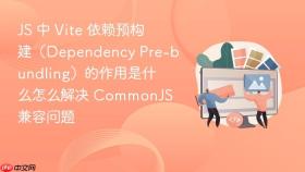 js 中 vite 依赖预构建（dependency pre-bundling）的作用是什么怎么解决 commonjs 兼容问题