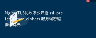 nginx tls协议怎么开启 ssl_prefer_server_ciphers 服务端密码套件优先