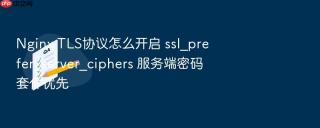Nginx TLS协议怎么开启 ssl_prefer_server_ciphers 服务端密码套件优先