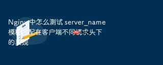 Nginx 中怎么测试 server_name 模糊匹配在客户端不同请求头下的表现
