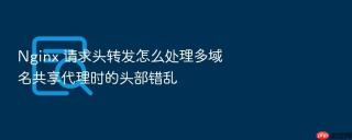 nginx 请求头转发怎么处理多域名共享代理时的头部错乱