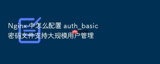 nginx 中怎么配置 auth_basic 密码文件支持大规模用户管理