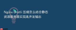 nginx brotli 压缩怎么结合静态资源服务器实现高并发输出
