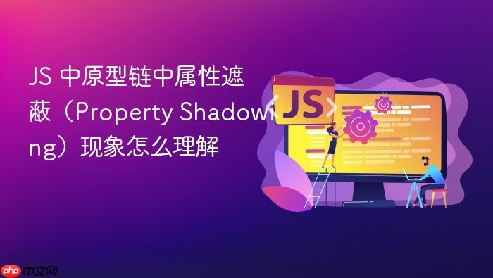 js 中原型链中属性遮蔽(property shadowing)现象怎么理解