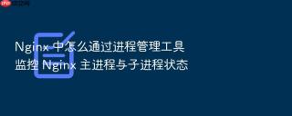 Nginx 中怎么通过进程管理工具监控 Nginx 主进程与子进程状态