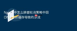 Nginx 中怎么排查轮询策略中因 DNS 解析缓存导致的分流