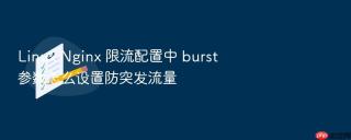 Linux Nginx 限流配置中 burst 参数怎么设置防突发流量