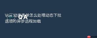 vue 动态表单怎么处理动态下拉选项的异步远程加载