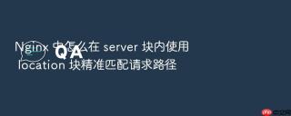 Nginx 中怎么在 server 块内使用 location 块精准匹配请求路径