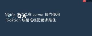 nginx 中怎么在 server 块内使用 location 块精准匹配请求路径