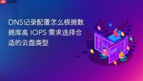 dns记录配置怎么根据数据库高 iops 需求选择合适的云盘类型