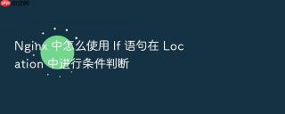 nginx 中怎么使用 if 语句在 location 中进行条件判断
