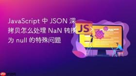 javascript 中 json 深拷贝怎么处理 nan 转换为 null 的特殊问题