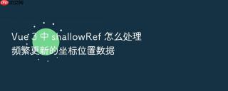 vue 3 中 shallowref 怎么处理频繁更新的坐标位置数据
