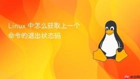 linux 中怎么获取上一个命令的退出状态码