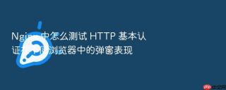 nginx 中怎么测试 http 基本认证在不同浏览器中的弹窗表现