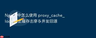 nginx 中怎么使用 proxy_cache_lock 防止缓存击穿与并发回源