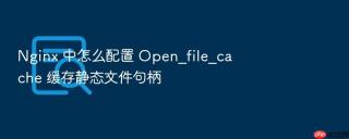 nginx 中怎么配置 open_file_cache 缓存静态文件句柄