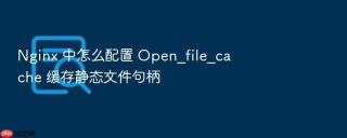 Nginx 中怎么配置 Open_file_cache 缓存静态文件句柄
