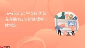 javascript 中 set 怎么在存储 nan 时处理唯一性判定
