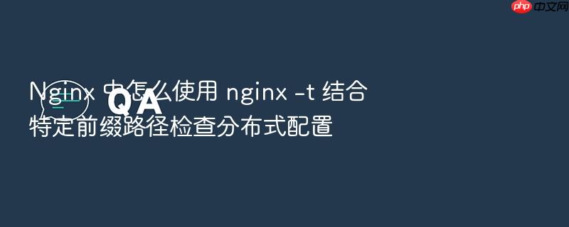 nginx 中怎么使用 nginx -t 结合特定前缀路径检查分布式配置