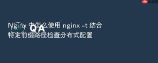 nginx 中怎么使用 nginx -t 结合特定前缀路径检查分布式配置