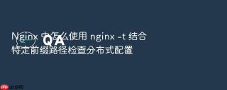 Nginx 中怎么使用 nginx -t 结合特定前缀路径检查分布式配置