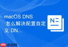 macOS DNS 怎么解决配置自定义 DNS 后无法上网的故障