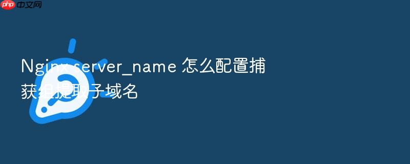 nginx server_name 怎么配置捕获组提取子域名