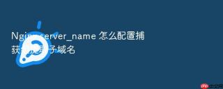 Nginx server_name 怎么配置捕获组提取子域名