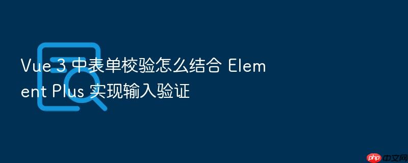 vue 3 中表单校验怎么结合 element plus 实现输入验证