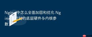 Nginx 中怎么全面加固和优化 Nginx 运行时的底层硬件与内核参数