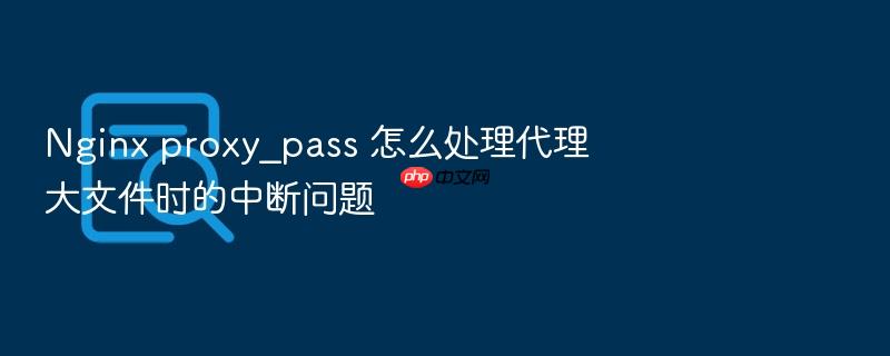 nginx proxy_pass 怎么处理代理大文件时的中断问题