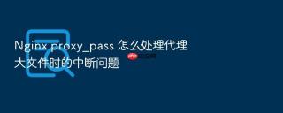 nginx proxy_pass 怎么处理代理大文件时的中断问题