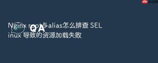 Nginx root与alias怎么排查 SELinux 导致的资源加载失败