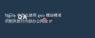 Nginx 中怎么使用 geo 模块精准识别并放行内部办公网段 IP