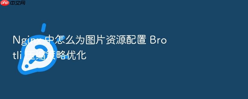 nginx 中怎么为图片资源配置 brotli 压缩策略优化